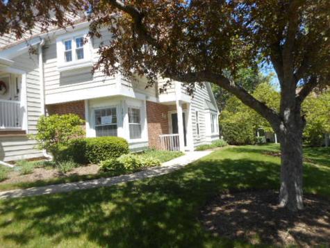 1017 Brentwood Circle Buffalo Grove IL 60089