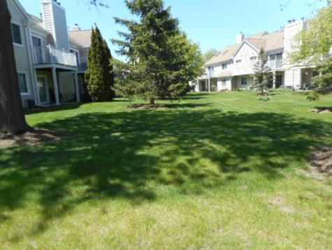1017 Brentwood Circle Buffalo Grove IL 60089