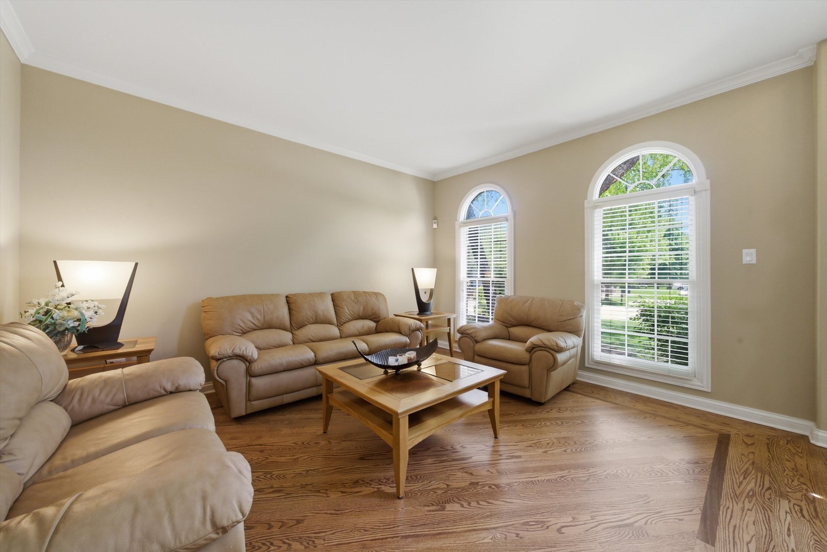 3919 Callander Court Naperville IL 60564