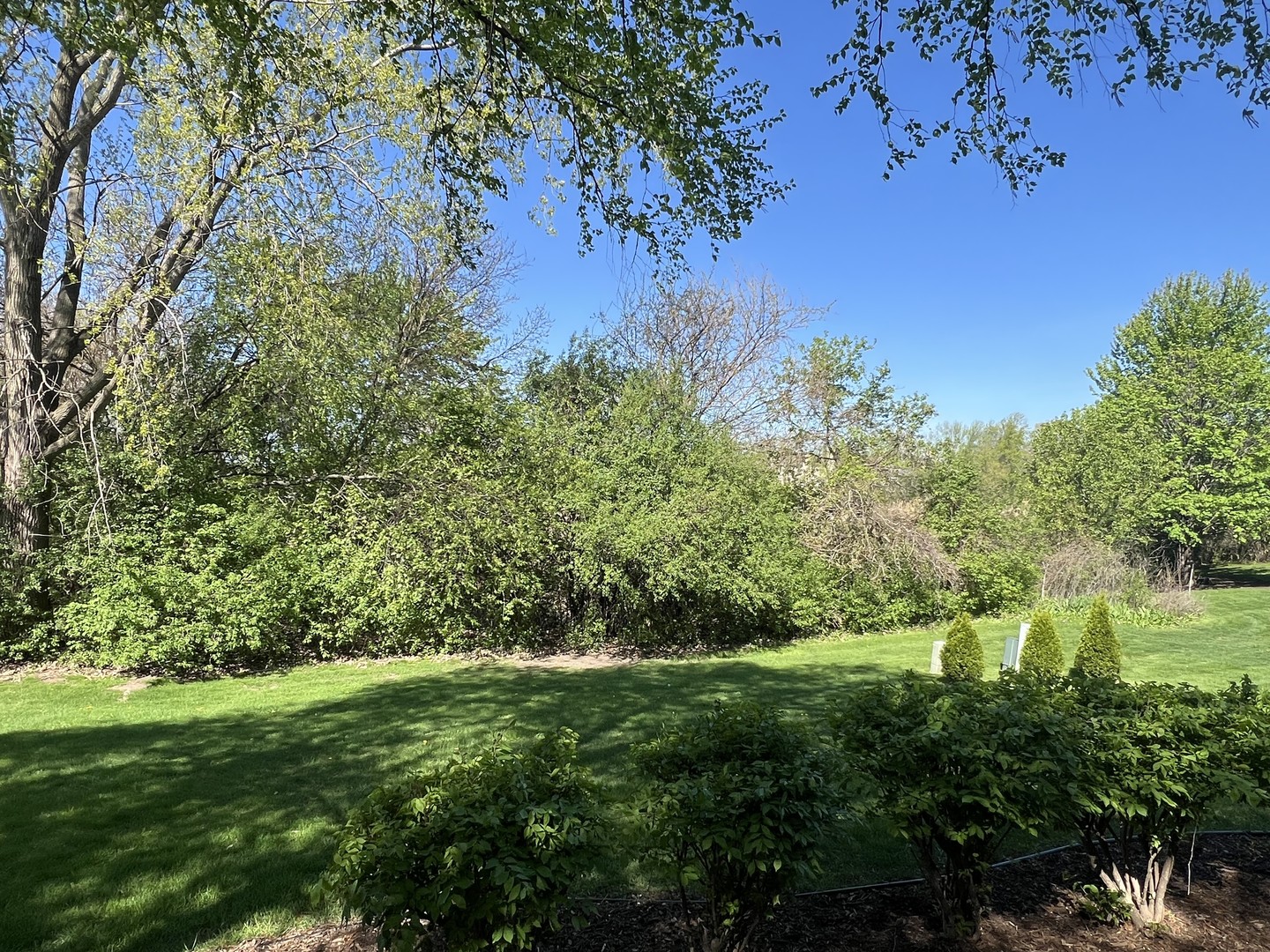 16200 Kingsport Road Orland Park IL 60467