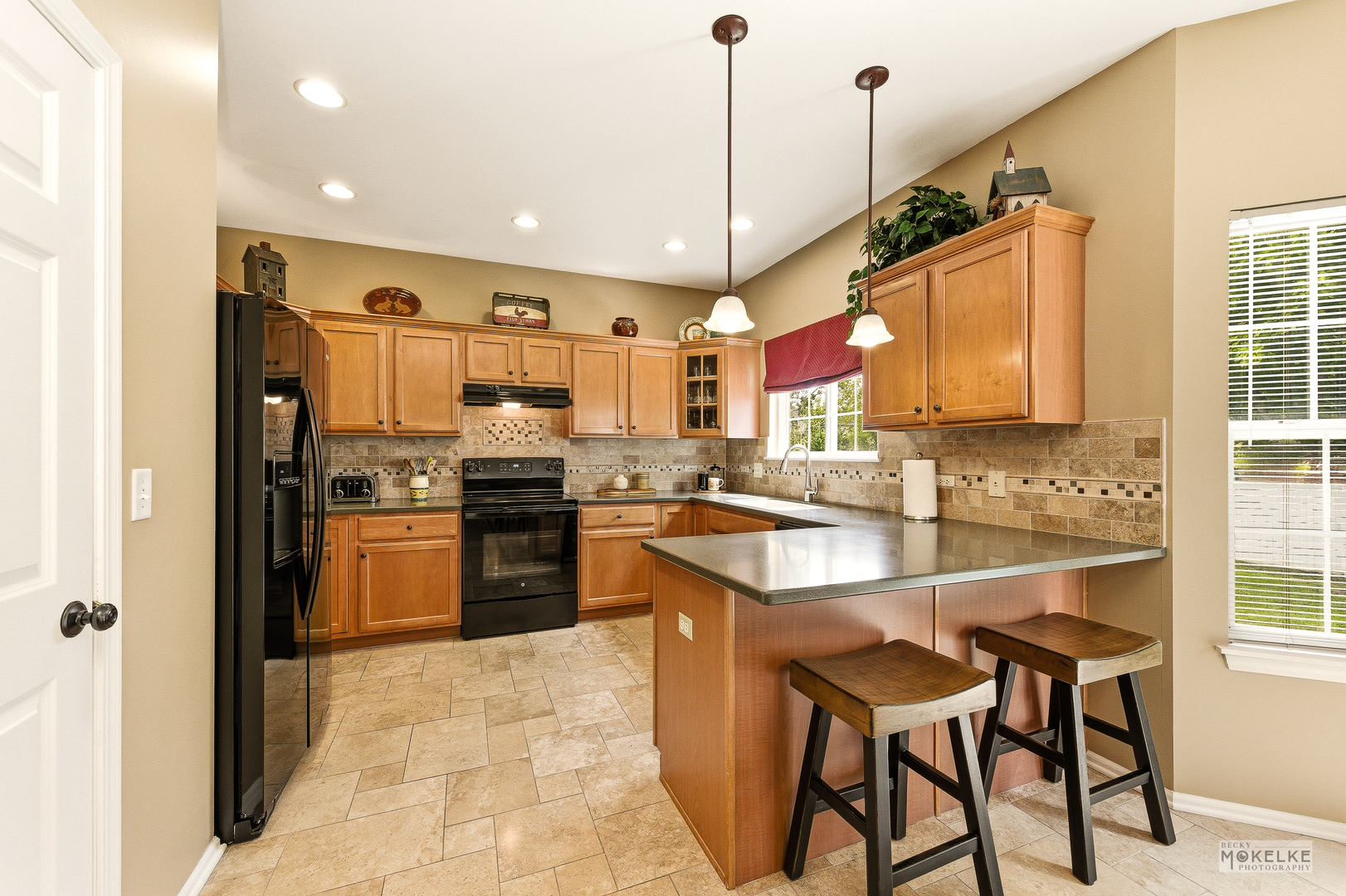 6102 Pheasant Ridge Drive Plainfield IL 60586