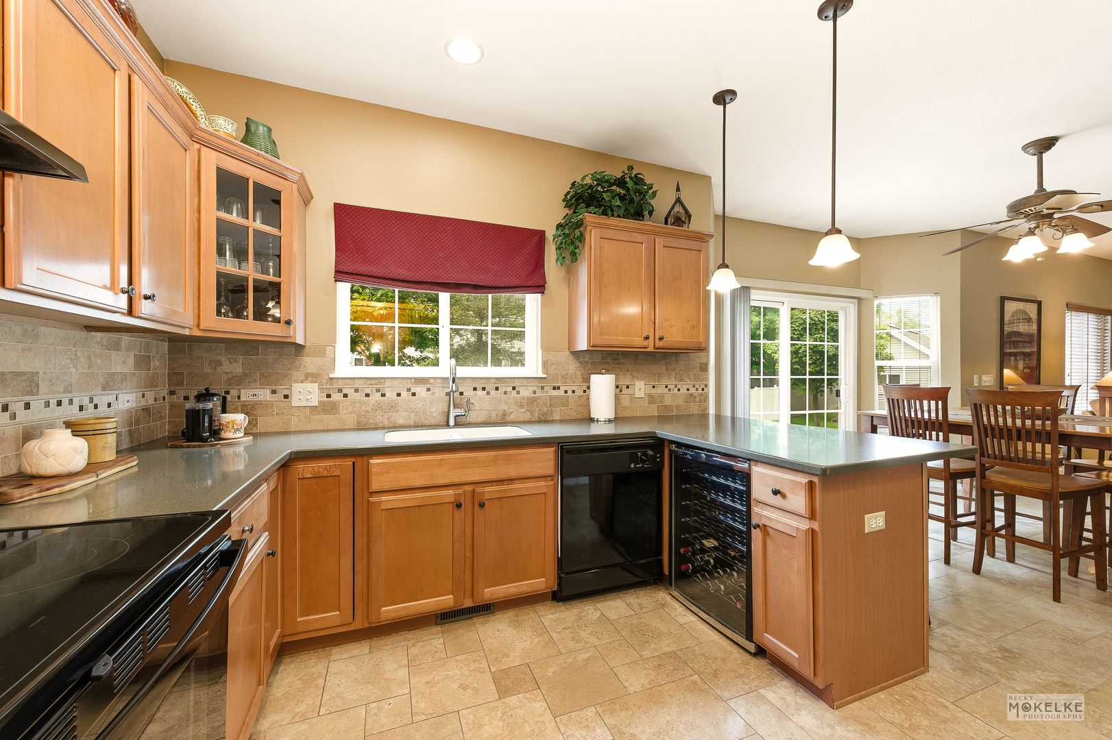 6102 Pheasant Ridge Drive Plainfield IL 60586