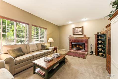 6102 Pheasant Ridge Drive Plainfield IL 60586