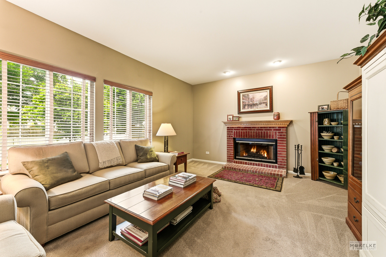 6102 Pheasant Ridge Drive Plainfield IL 60586