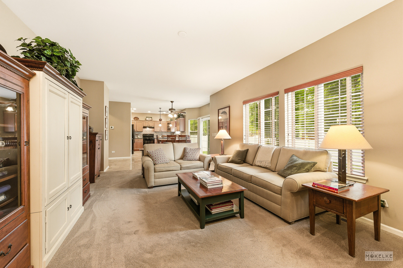 6102 Pheasant Ridge Drive Plainfield IL 60586
