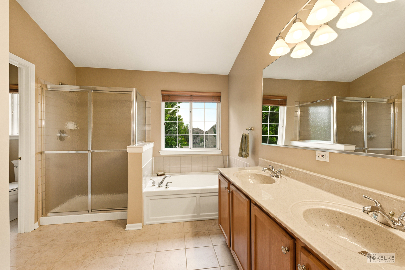 6102 Pheasant Ridge Drive Plainfield IL 60586