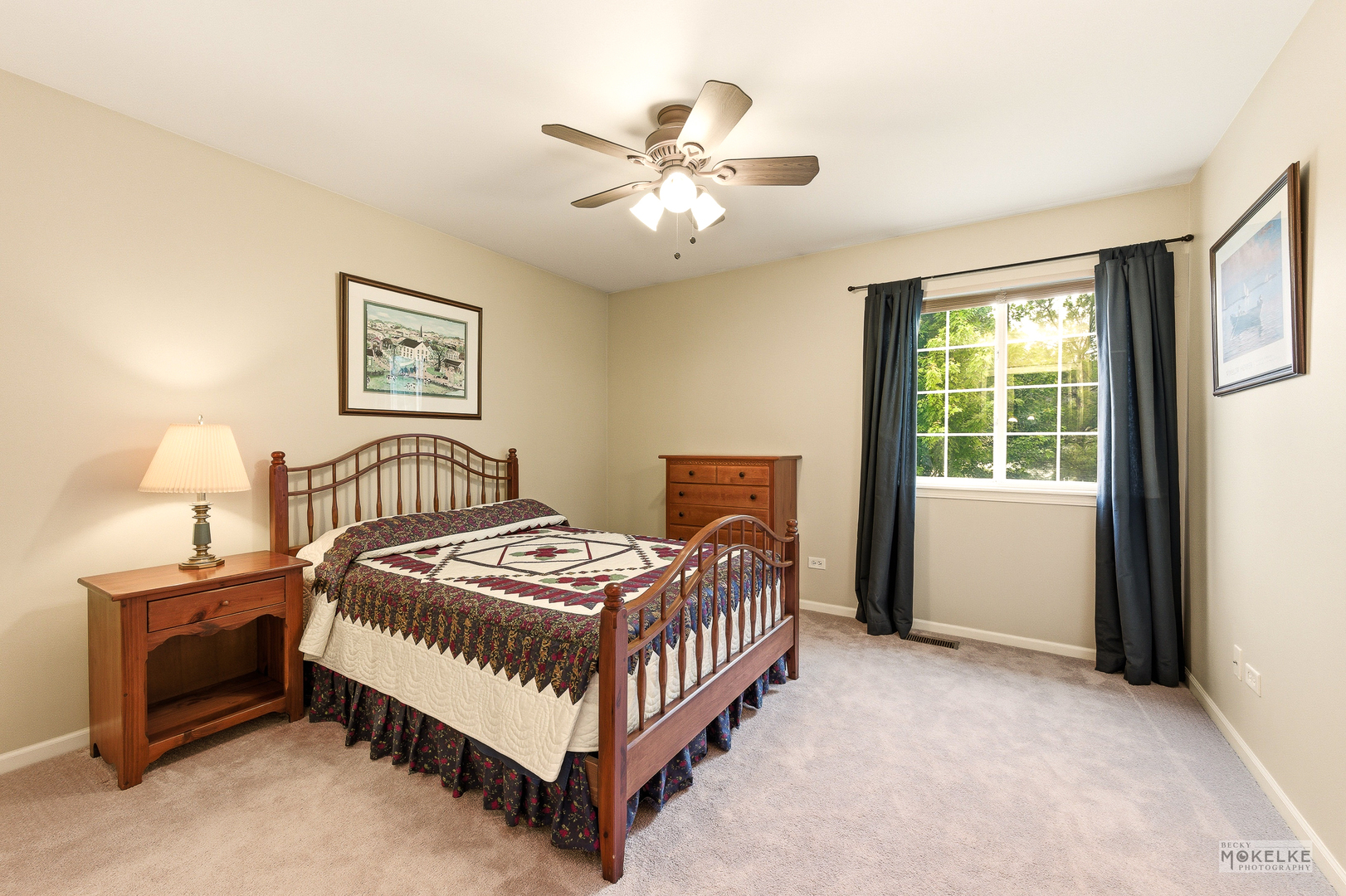 6102 Pheasant Ridge Drive Plainfield IL 60586