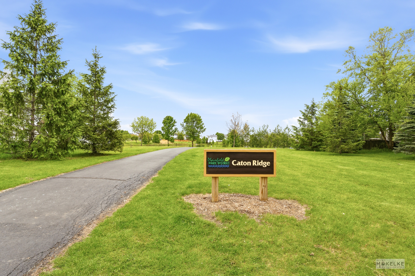 6102 Pheasant Ridge Drive Plainfield IL 60586