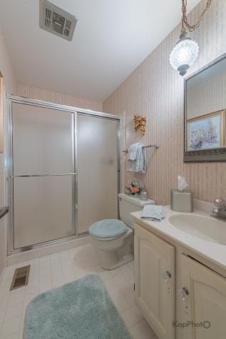 3232 Chestnut Drive Flossmoor IL 60422