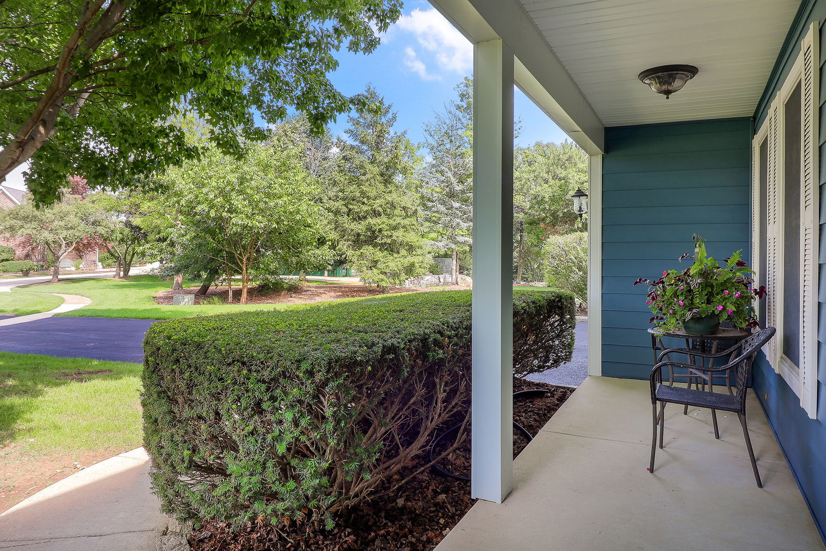 13360 Vicky Street Plainfield IL 60585