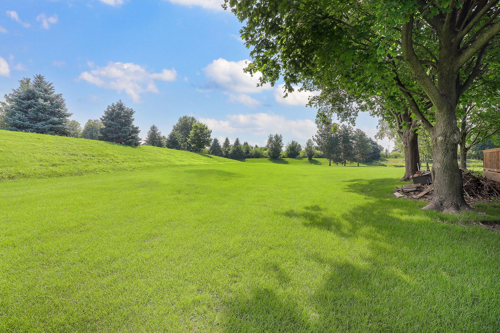 13360 Vicky Street Plainfield IL 60585