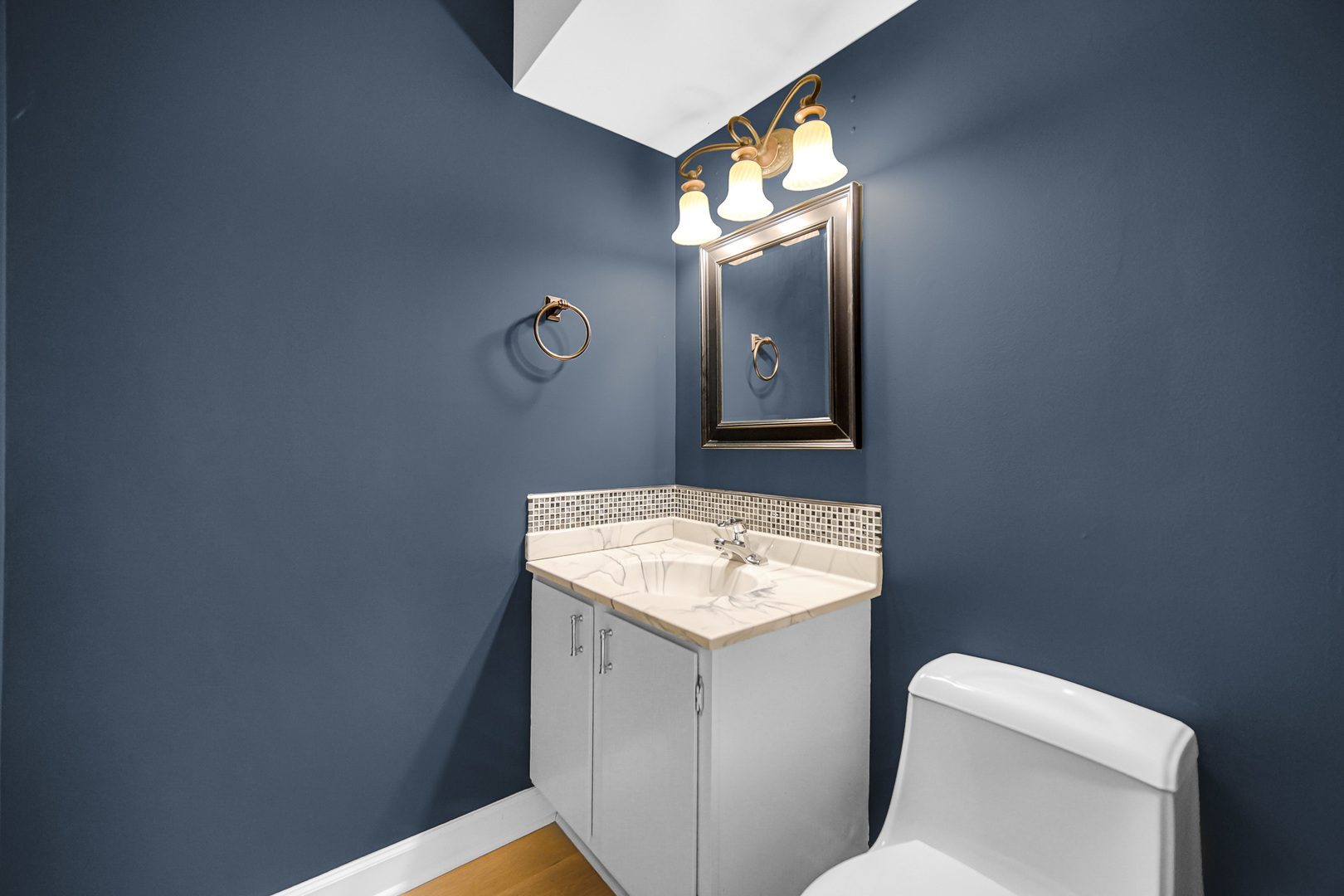 6318 Prideham Street Downers Grove IL 60516