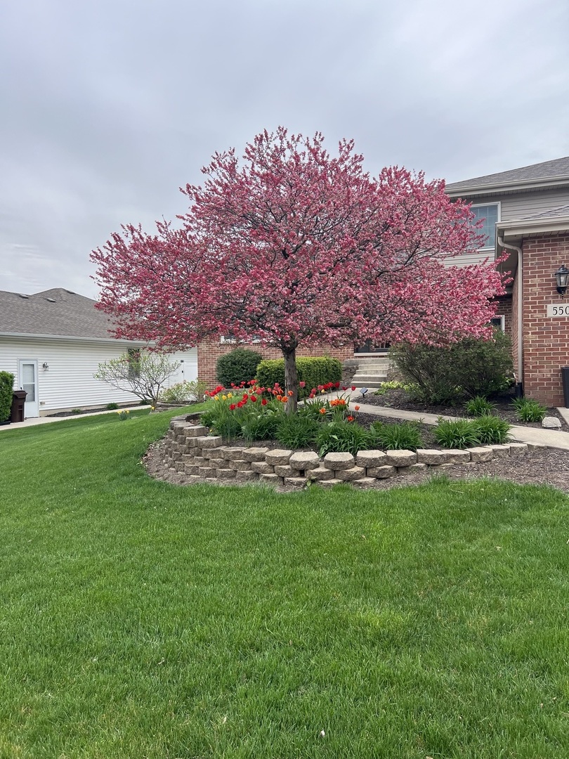 550 Doxbury Lane New Lenox IL 60451