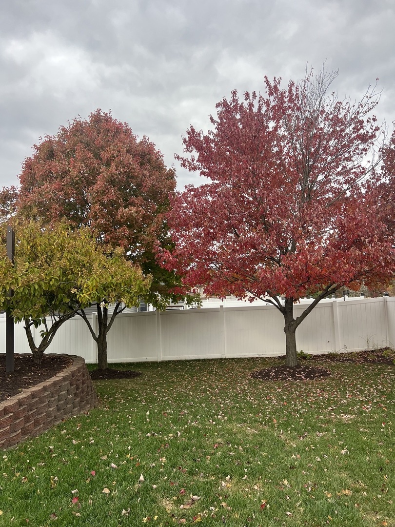 550 Doxbury Lane New Lenox IL 60451
