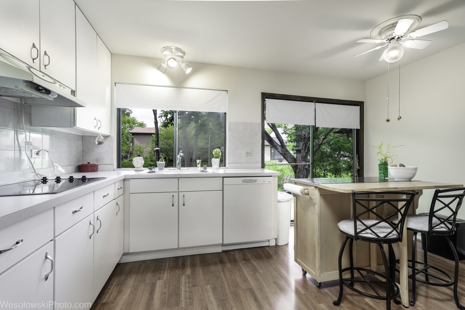 770 Yosemite Trail Roselle IL 60172