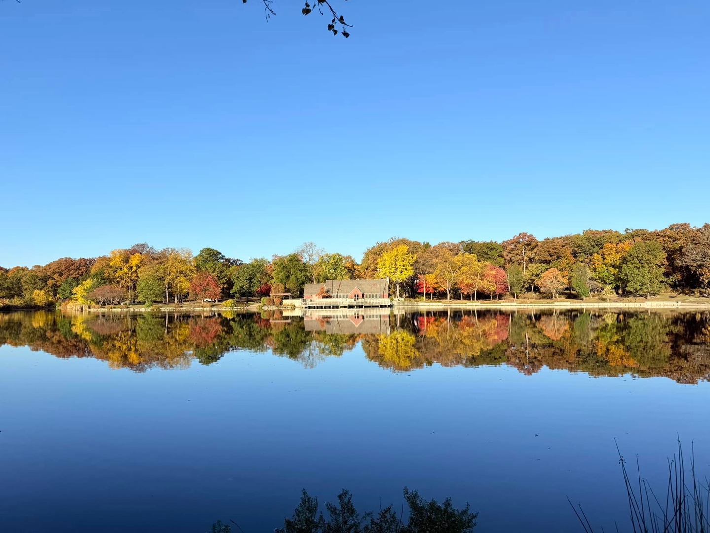 580 Oak Street Glen Ellyn IL 60137