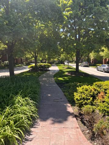 4252 West Harrington Lane Chicago IL 60646