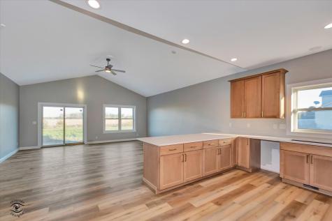 1175 S. Farmstone Drive Diamond IL 60416