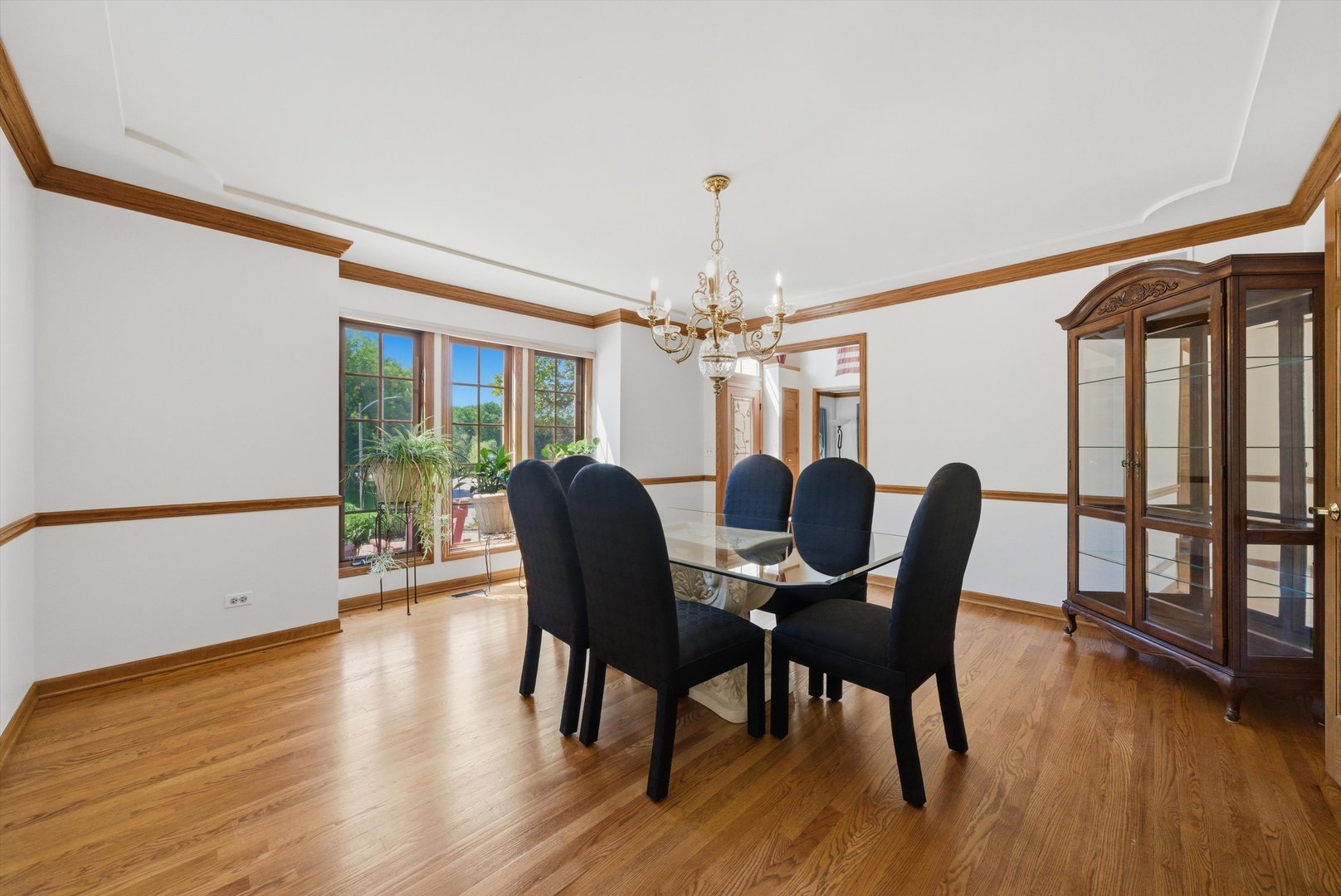 8701 Lake Ridge Drive Darien IL 60561