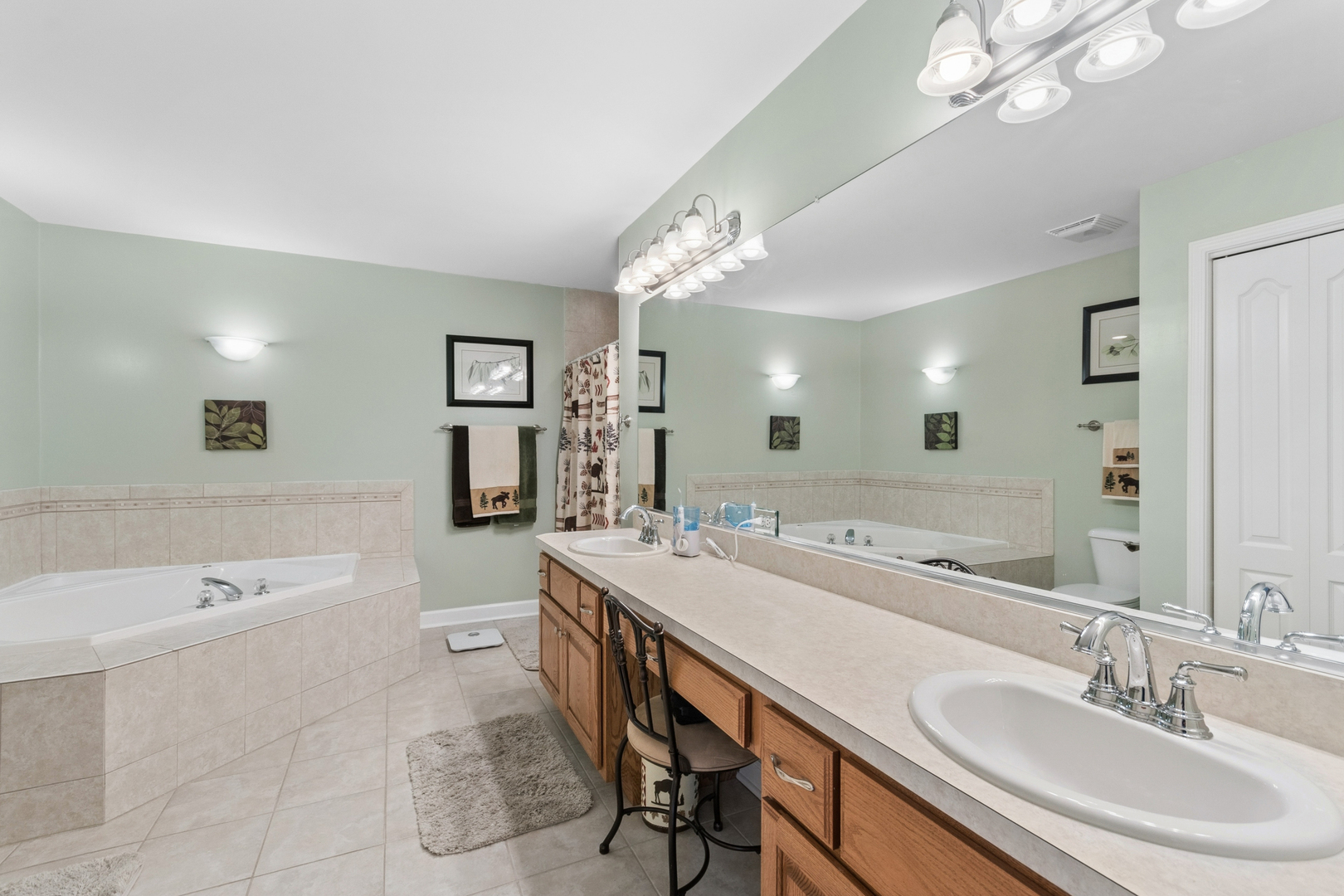 13152 South Vicarage Drive Plainfield IL 60585