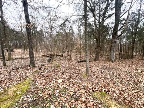 526 Power Plant Road Marion IL 62959