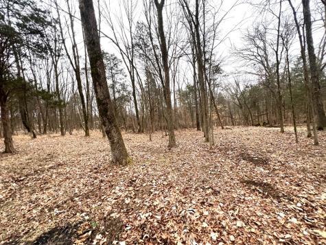 526 Power Plant Road Marion IL 62959
