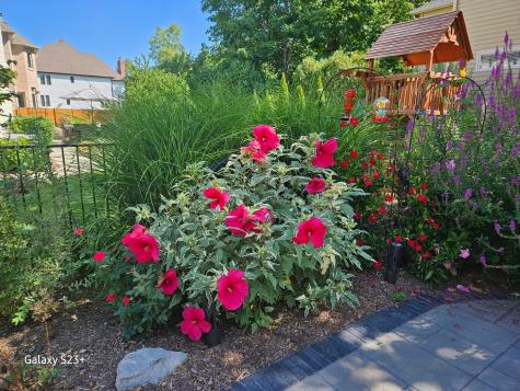 752 South Julian Street Naperville IL 60540
