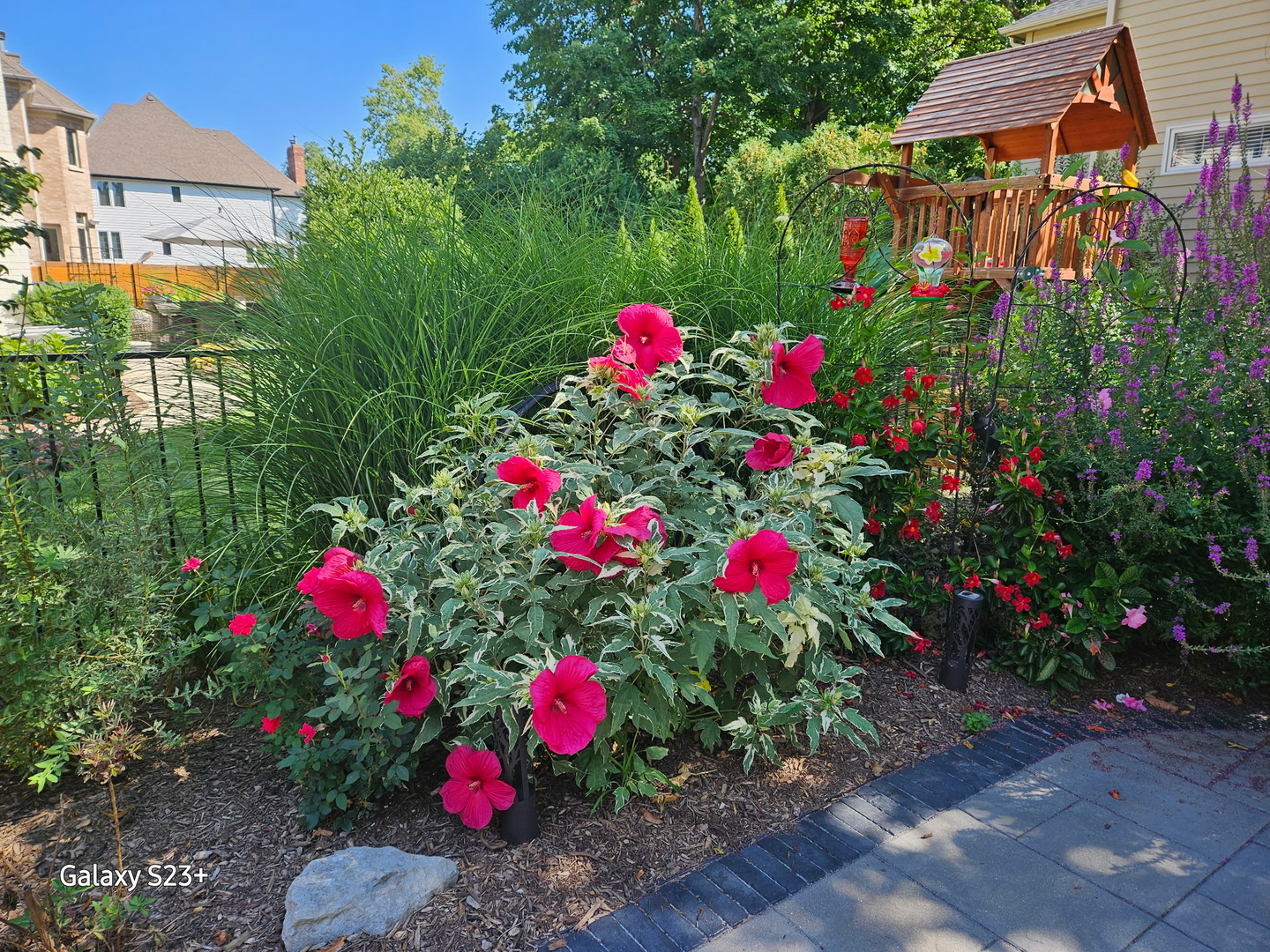 752 South Julian Street Naperville IL 60540