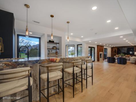 9280 Cascade Circle Burr Ridge IL 60527