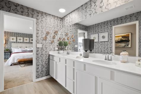 14913 South Henebry Lane Plainfield IL 60544