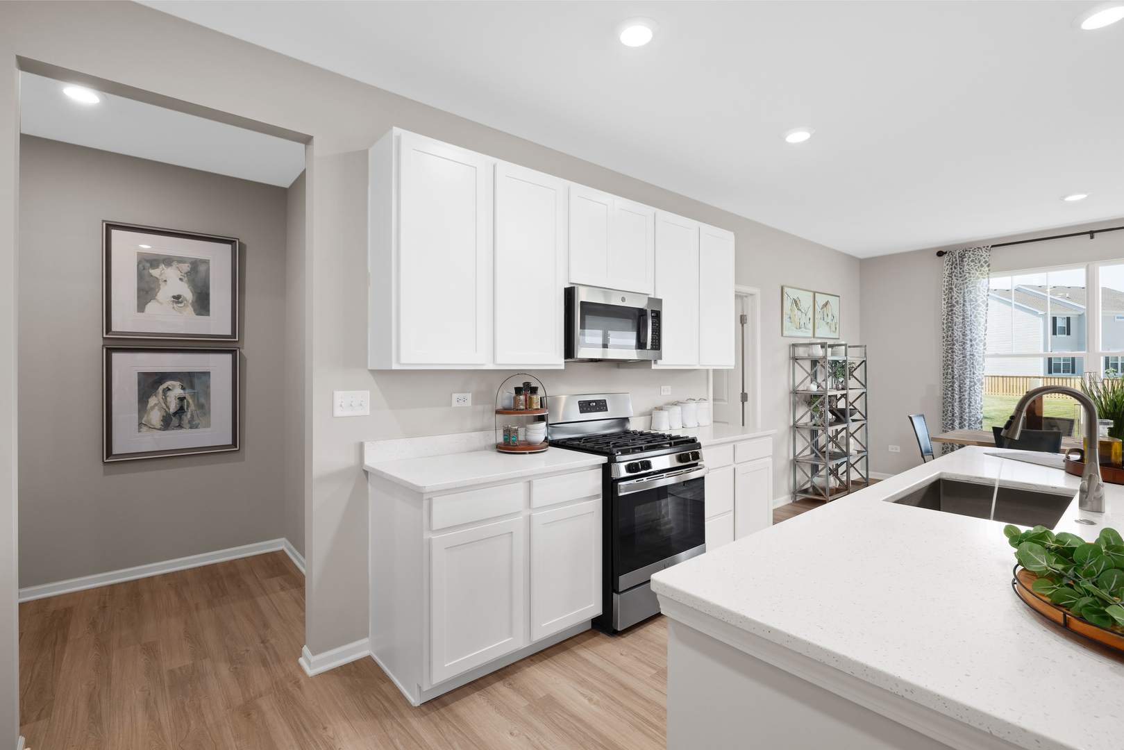 14913 South Henebry Lane Plainfield IL 60544