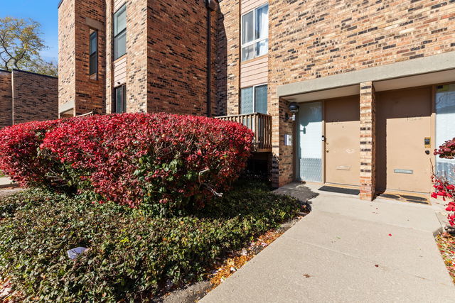 1620 Waxwing Court Schaumburg IL 60173