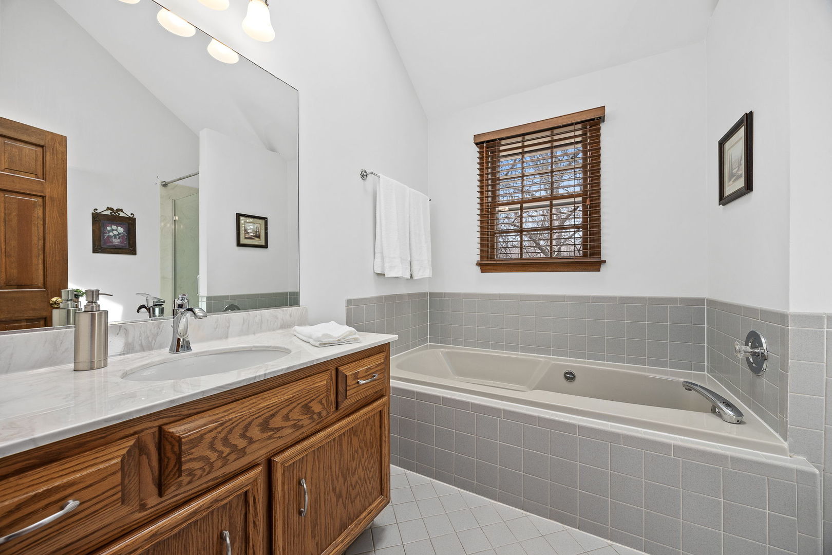 1310 Champion Forest Court Wheaton IL 60187