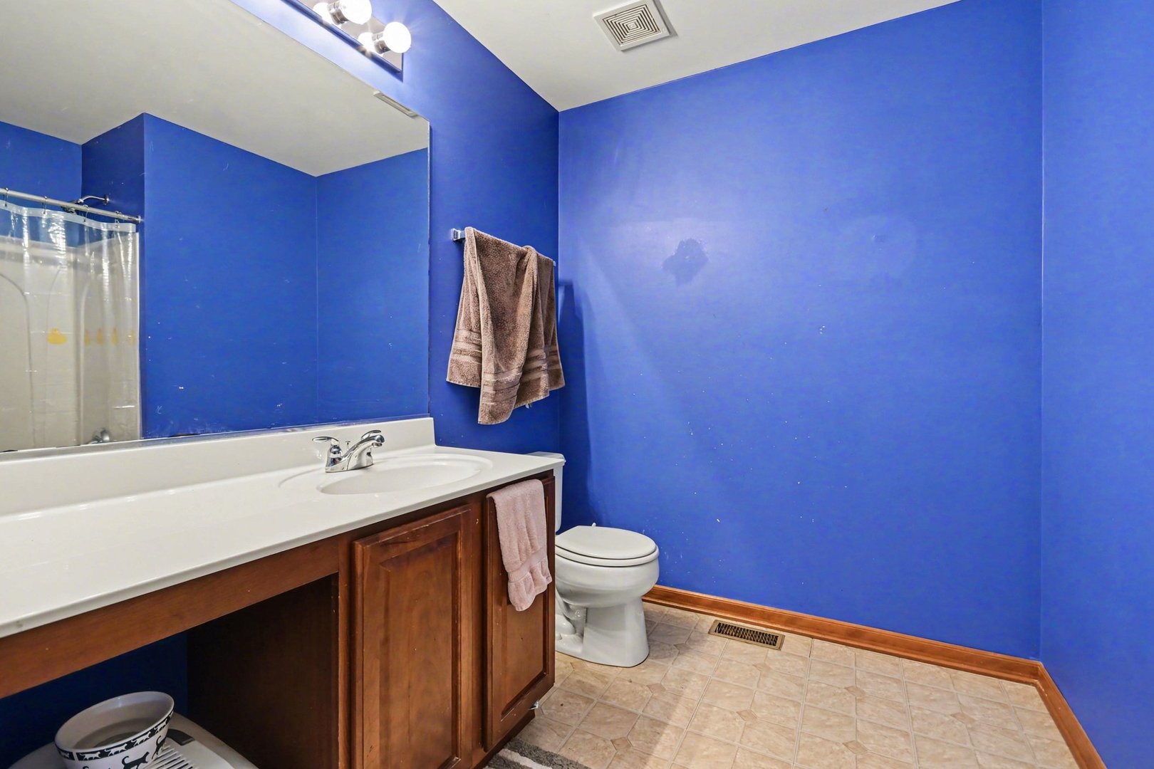14517 Meadow Lane Plainfield IL 60544
