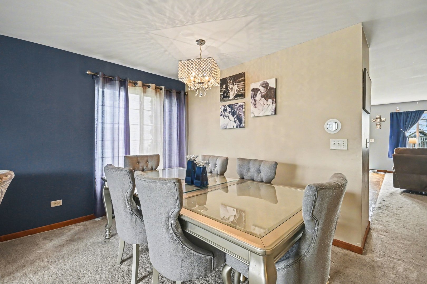 14517 Meadow Lane Plainfield IL 60544