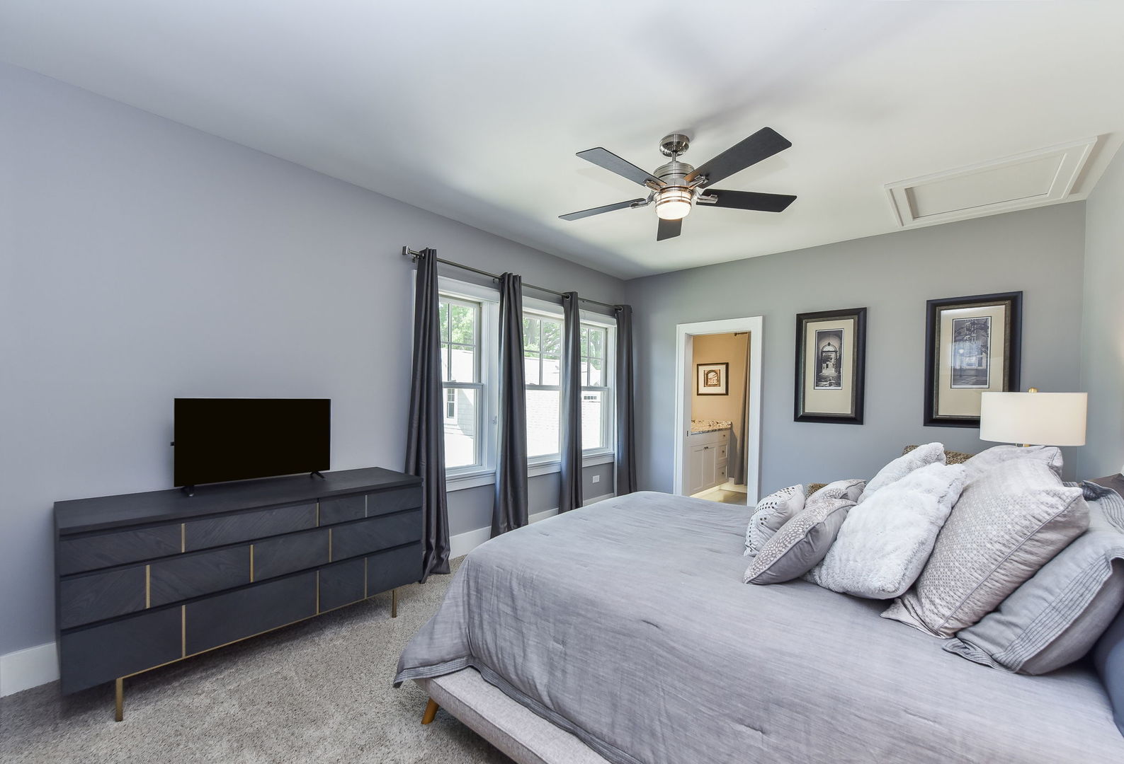 1308 North Wright Street Naperville IL 60563