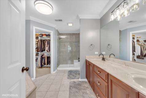 80 Chestnut Court Elgin IL 60120