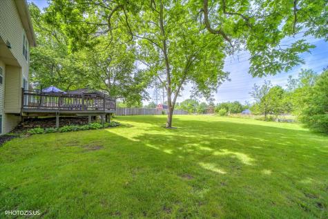 80 Chestnut Court Elgin IL 60120
