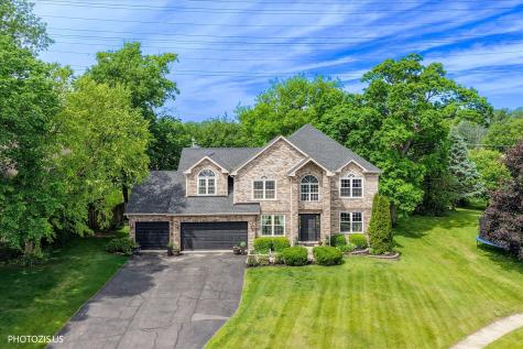 80 Chestnut Court Elgin IL 60120