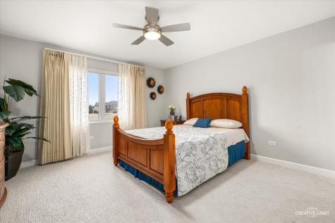 4207 Carpenter Road Naperville IL 60564