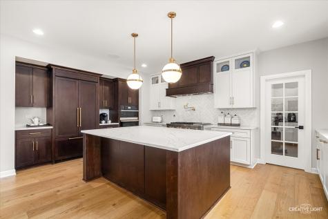 4207 Carpenter Road Naperville IL 60564