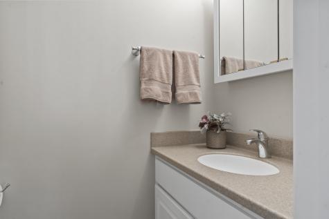 1253 Reading Court Wheaton IL 60189