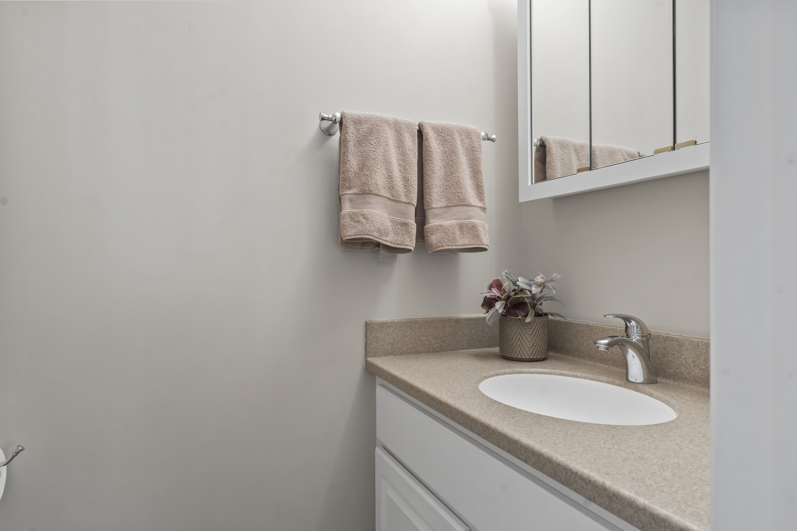 1253 Reading Court Wheaton IL 60189