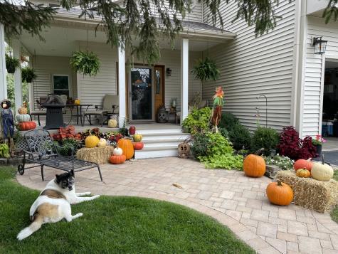 2547 Reynolds Road Ashton IL 61006