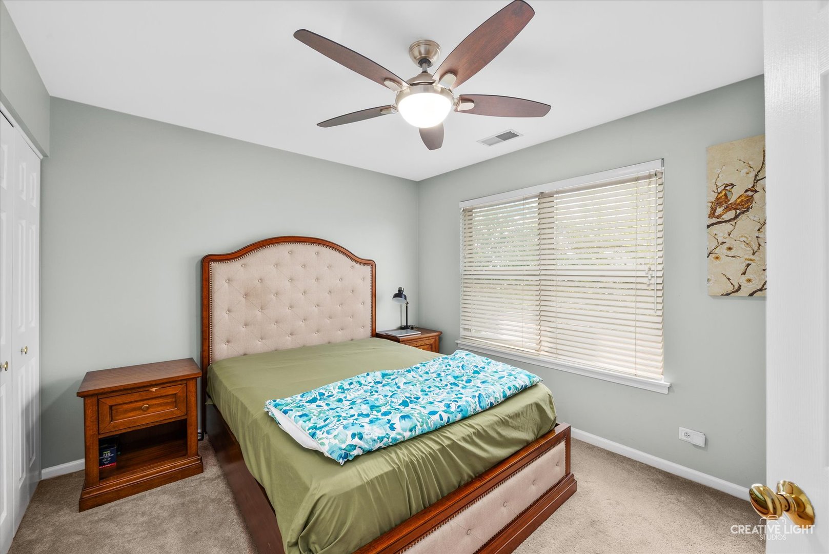 3250 Cool Springs Court Naperville IL 60564