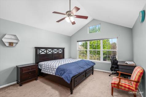 3250 Cool Springs Court Naperville IL 60564