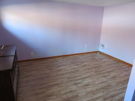 34540 Lakeside Terrace Wilmington IL 60481