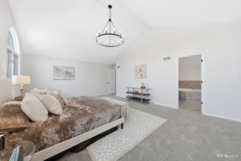8548 Monaghan Drive Tinley Park IL 60487