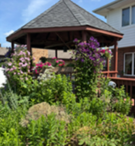 1525 Cimarron Drive New Lenox IL 60451