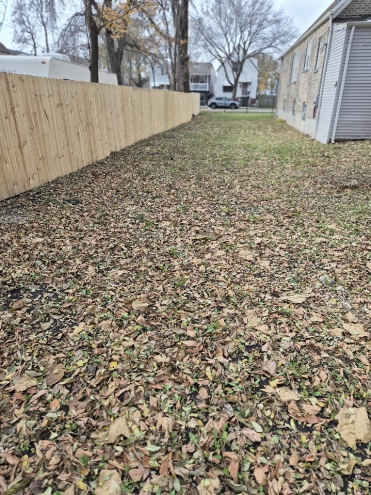 7017 South Hermitage Avenue Chicago IL 60636